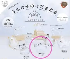 うちの子けだまだま ペテモ限定ミックス