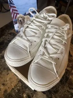 CONVERSE ALL STAR レザースニーカー