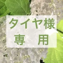 タイヤ様専用　ロクシタン　バターソープ　化粧石けん　25g 20個　匿名配送