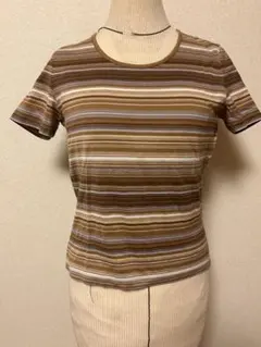 大幅値下げ　scapa ストライプ 半袖Tシャツ　40のサムネイル