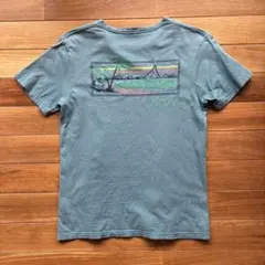 パタゴニア　パタロハTシャツ　ハワイ限定 patagonia pataloha