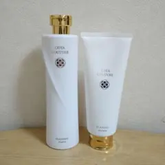 HERMOSA エルモサパシュー　CO2 ブーティスト〈泡状美容液〉150ｇ HERMOSA エルモサパシュー CO2 ブーティスト〈泡状美容液〉150g