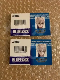 凪　凪誠士郎　プリンセスカフェ　スクエア　プリカフェ　ブルロ　ブルーロック TVアニメ『ブルーロック』 バースデー グッズセット 凪 誠士郎