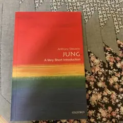 JUNG: A Very Short Introduction