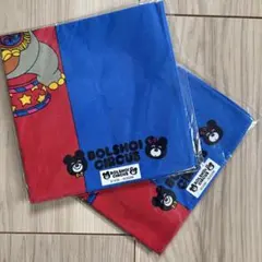 Item thumbnail for item c29dee4b-11e7-4571-8618-6b080bac5be6