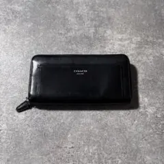 Item thumbnail for item 637ab33d-faa5-4f72-941e-acf315b3a25e