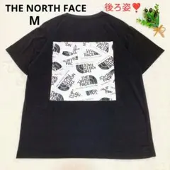 ザノースフェイス ステッカーハーフドーム Tシャツ ロゴT 半袖 バックプリント