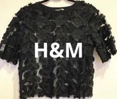 最終値下げしました！未使用！H&Mシースルー  フラワーモチーフ　トップス