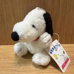 PEANUTS スヌーピー　ボールチェーン付き　ふわふわぬいぐるみ　キーホルダー