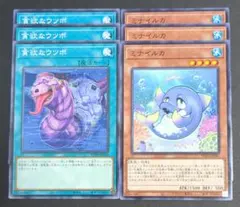 遊戯王OCGカード 『貪欲なウツボ』と『ミナイルカ』ノーマル 各3枚セット