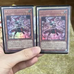 遊戯王 聖王女ローズパメラ 2枚セット - メルカリ