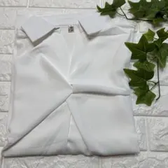 秋❀ 白 XLサイズ フリル長袖トップス