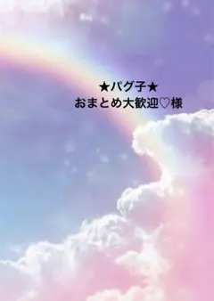 ★パグ子★おまとめ大歓迎♡様専用ページ☆