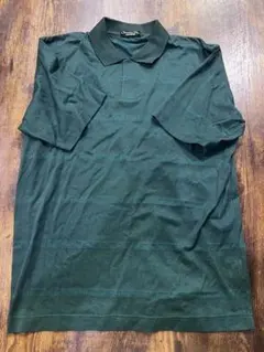 レアChristian Diorクリスチャンディオールストライプポロシャツ緑