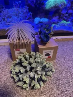 人工サンゴ・貝セット