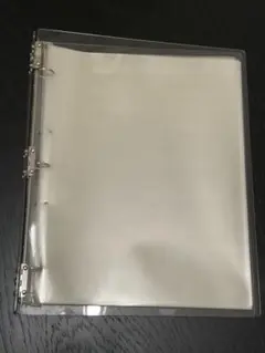 Item thumbnail for item fc0394a4-864c-4883-bce7-ae94fa2c58c3