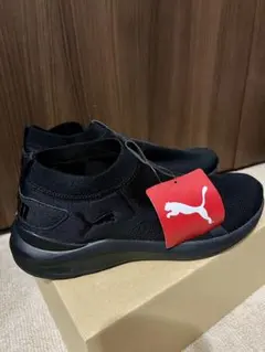 Item thumbnail for item 404613ed-981c-4d00-9bb1-58fa57760236