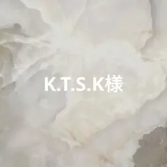 #38 K.T.S.K様専用ページ