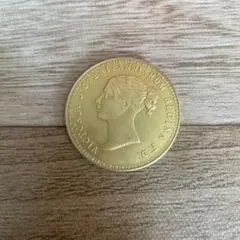 2026年最新】ウナ＆ライオン 金貨の人気アイテム - メルカリ