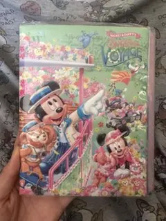 ディズニー ダッフィー ミッキー スプリングヴォヤッジ スーベニアメダルケース