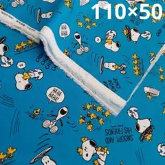 Item thumbnail for item 607804f2-f0b9-4062-b40e-9c6c512cc254