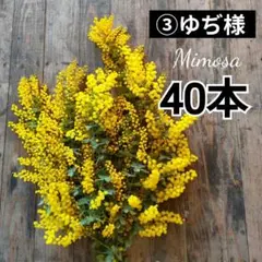 ③ゆぢ様専用ページ