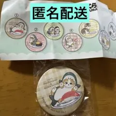 【mofusand】モフサンド×くら寿司　ビッくらポン缶バッジ