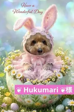 ❦ Hukumari ❦様専用ページ