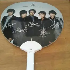 【嵐】 THE DIGITALIAN ファンライト