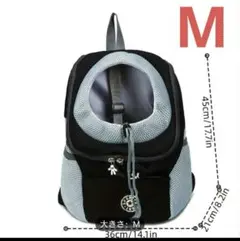 Item thumbnail for item d9f11b69-3ff9-4311-b123-0d843cfce309