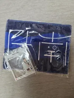 衛星とカラテア