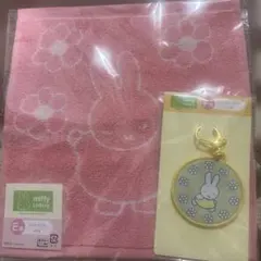 タイトーくじ ミッフィー E F賞