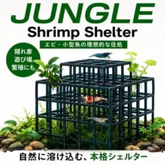 JUNGLE Shrimp Shelter エビの隠れ家のサムネイル