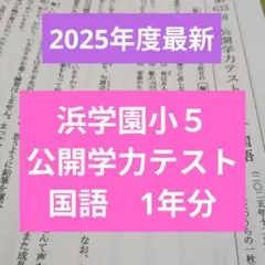 2026年最新】浜学園 小5 公開テストの人気アイテム - メルカリ
