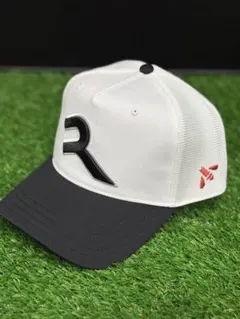 Item thumbnail for item a093ce6a-b547-4f52-a5d2-af3b0184c9cf