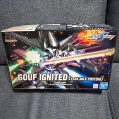 2025年最新】hg グフイグナイテッドの人気アイテム - メルカリ