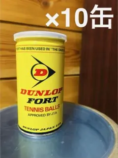 2026年最新】DUNLOP(ダンロップ) フォート 2球缶の人気アイテム - メルカリ