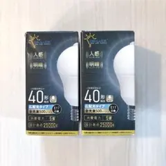 ORALUCE LED電球 E17 人感センサー 電球色 3000K 500lm