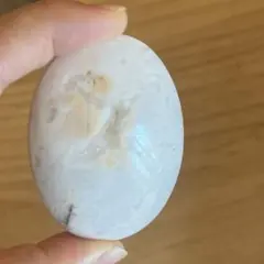 スノーアゲート　パームストーン