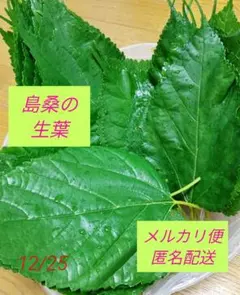 Item thumbnail for item 6275aa4c-6a83-4fdb-8b93-f3125ba8ad28