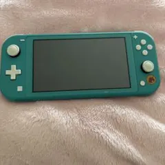 Nintendo Switch Lite あつまれ どうぶつの森デザイン 初期化 - メルカリ