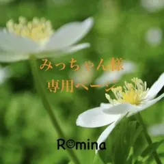 みっちゃん様専用ODM