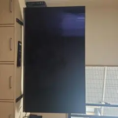 TOSHIBA REGZA 48X8900K 有機ELテレビ 本体のサムネイル