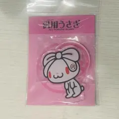 汎用うさぎ アクリルスタンド