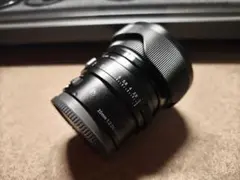 2026年最新】20mm f2 dg dnの人気アイテム - メルカリ