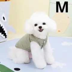 Item thumbnail for item 3b25d4e6-12a5-42f8-98c7-f04743ca3a6f