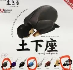土下座 マーカーチャーム 4種セット ガチャ