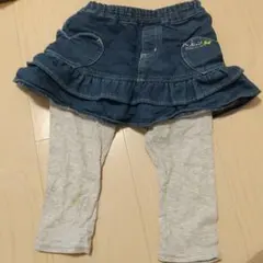 KP ニットプランナー スカッツ