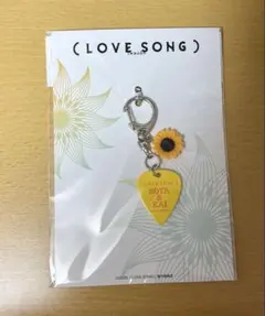 向井康二 ピックキーホルダー