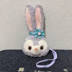ステラルー　ポシェット　ディズニー　パスケース